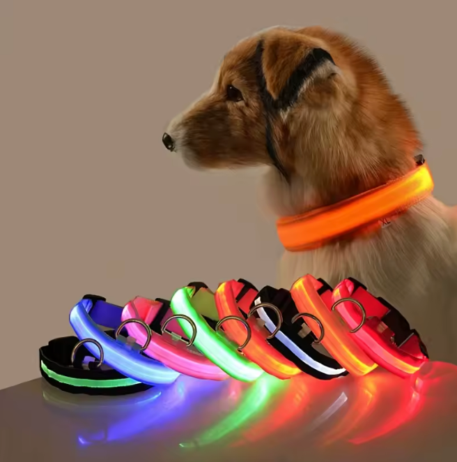 LED Leuchthalsband für Hunde "Fellnasenstube" | Wiederaufladbares USB-Halsband mit Blinkfunktion – Sicher, sichtbar & wasserdicht bis 12 Stunden