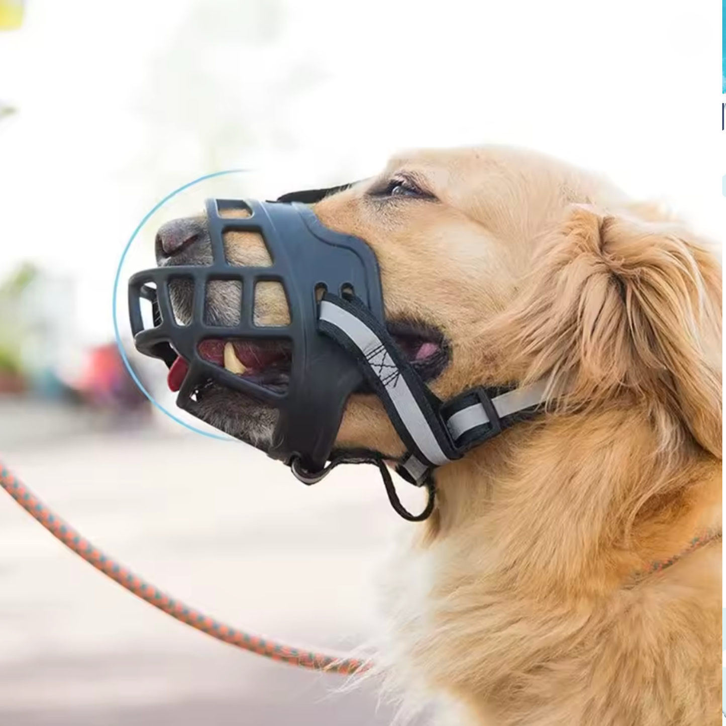 Trixie Maulkorb Flex Gummi Schwarz | Ergonomischer Hundemaulkorb mit Neopren-Polsterung – Verstellbar, ausbruchsicher & komfortabel für alle Größen