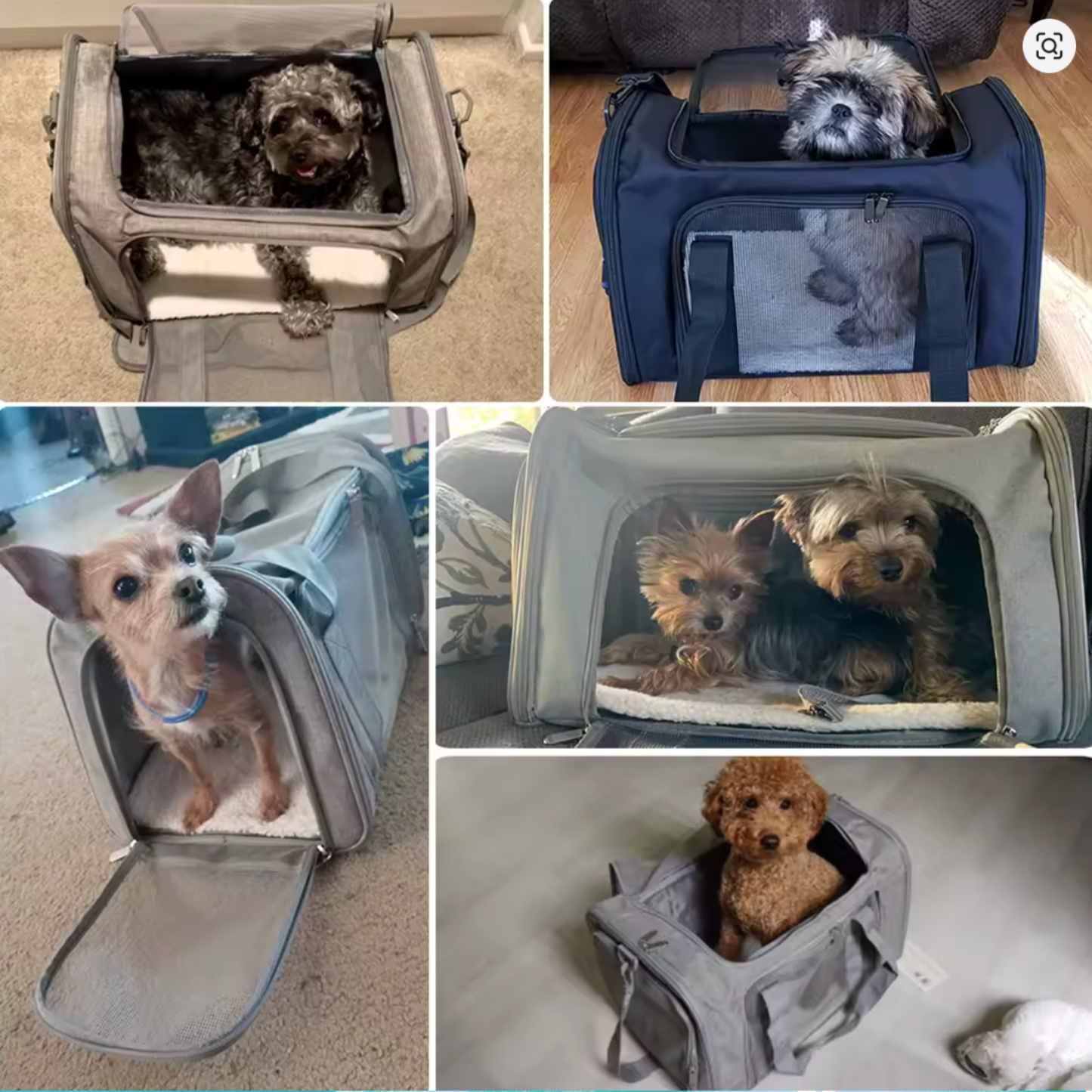 Airline-Approved Hundetragerucksack | Weicher Transportrucksack für Kleine Hunde & Katzen bis 10 kg – Atmungsaktiv, sicher & komfortabel für Reisen