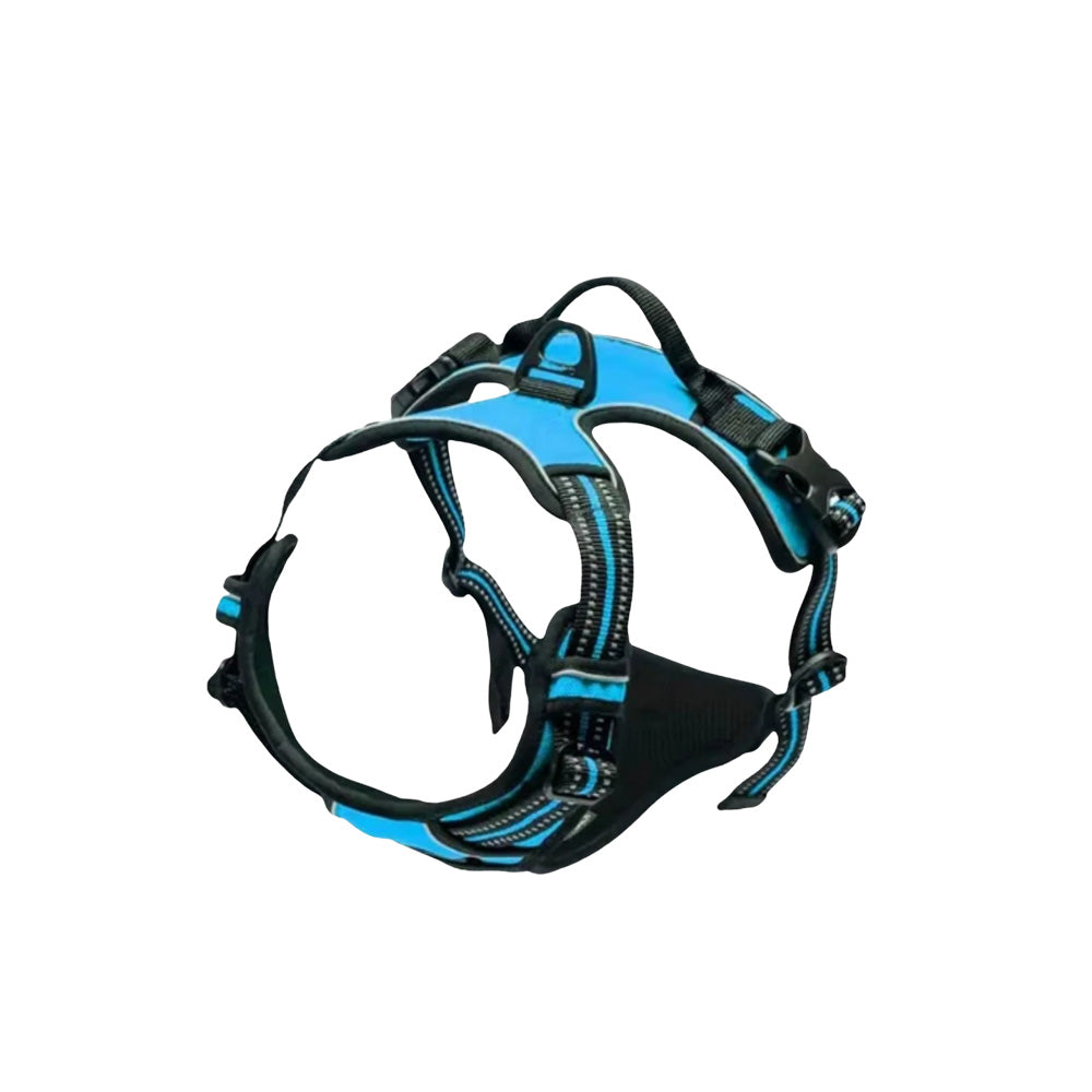 Anti-Zug Hundegeschirr mit Griff "Fellnasenstube" | Verstellbares Geschirr für Hunde – Stoppt Ziehen sanft, sicher & komfortabel