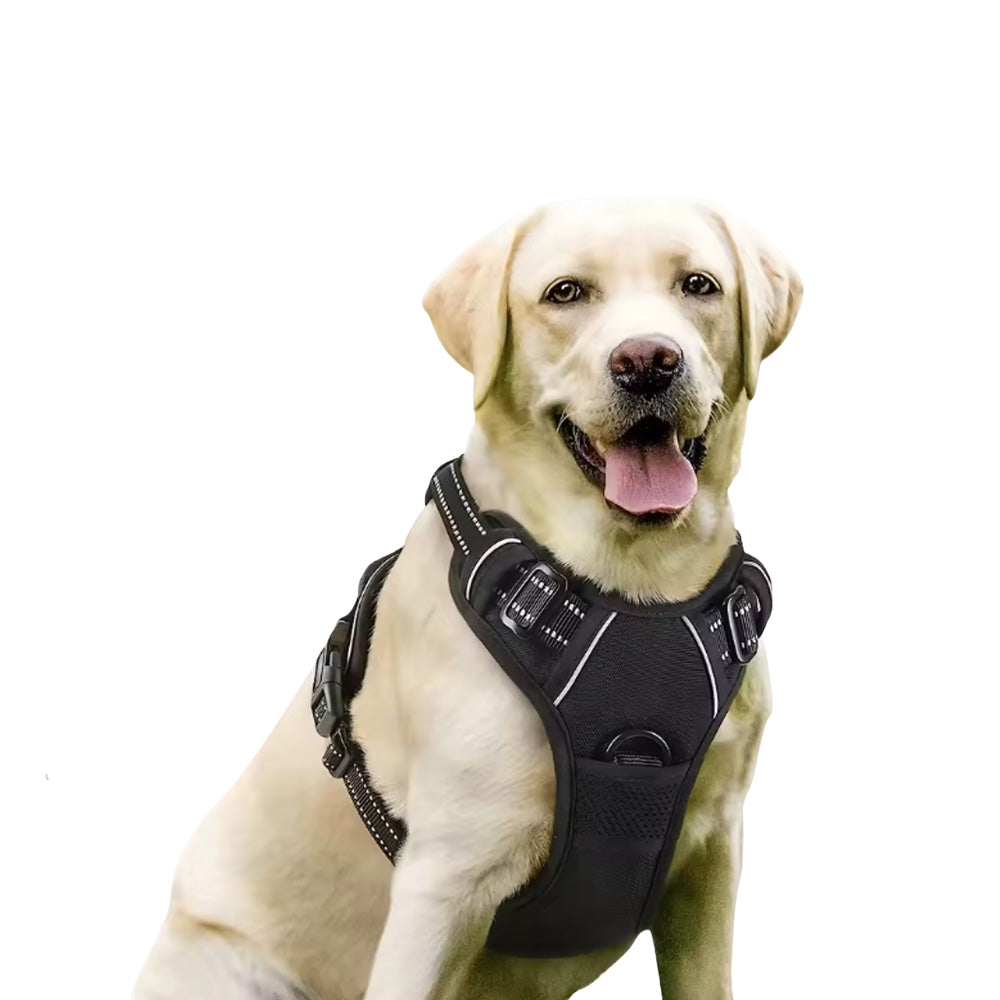 Anti-Zug Hundegeschirr mit Griff "Fellnasenstube" | Verstellbares Geschirr für Hunde – Stoppt Ziehen sanft, sicher & komfortabel