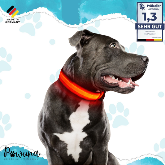 LED Leuchthalsband für Hunde "Fellnasenstube" | Wiederaufladbares USB-Halsband mit Blinkfunktion – Sicher, sichtbar & wasserdicht bis 12 Stunden